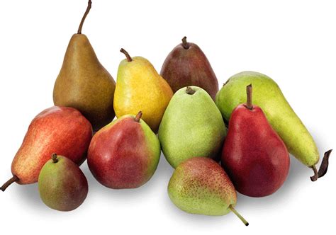 Pear Varieties