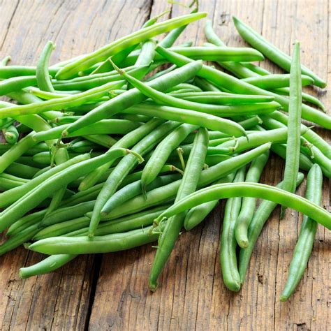 Blue Lake Bush Bean Seeds - 50 Lbs Bulk - Non-GMO, Organic - Vegetable Garden Seeds - Green ...