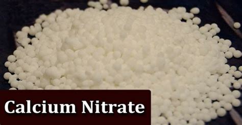 Calcium Nitrate - Assignment Point