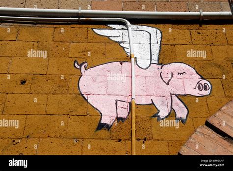 flying pig graffiti on wall in rome italy Stock Photo - Alamy