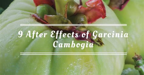 9 After Effects of Garcinia Cambogia