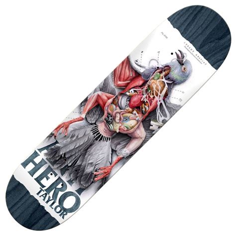 Antihero Skateboards Grant Taylor Street Anatomy Skateboard Deck 8.5'' - SKATEBOARDS from Native ...