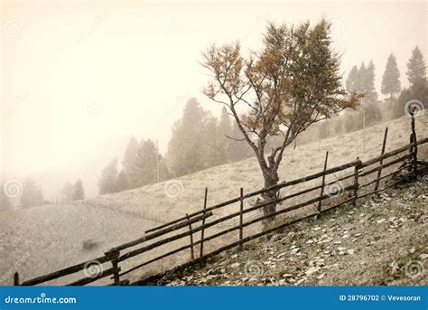 First snow stock photo. Image of light, evening, landscape - 28796702