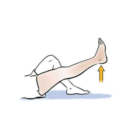 Straight Leg Raise by Patricie K - Exercise How-to - Skimble