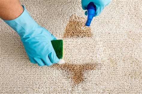 Best Way To Clean Up Throw Up On Carpet - Carpet Points