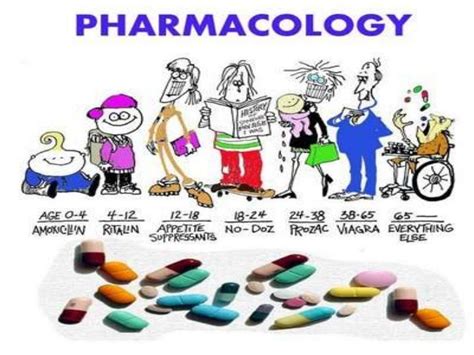 Introduction To Pharmacology Worksheet Docx Introduct - vrogue.co
