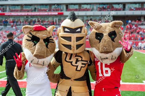 Houston Cougars Mascots Sasha Shasta Pose Editorial Stock Photo - Stock Image | Shutterstock