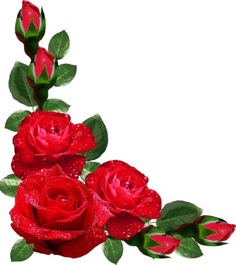 Download Roses Corner Border Clip Art Transparent - Rose Flower Design ...