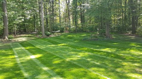 B&B Landscaping & Tree Service - Landscaper