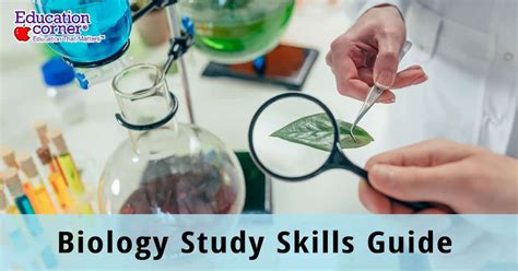 Study Skills: Learn How To Study Biology