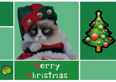 Grumpy Cat Christmas Wallpaper - WallpaperSafari