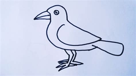 How to draw a Cartoon Crow easy step by step // crow drawing - YouTube