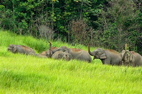 How to get to Khao Yai National Park