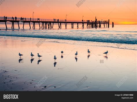 Iconic Glenelg Beach Image & Photo (Free Trial) | Bigstock