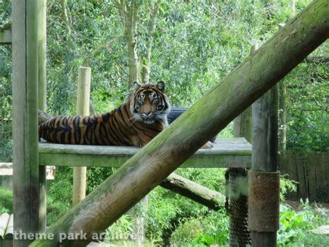 Chessington Zoo at Chessington World of Adventures Resort | Theme Park ...