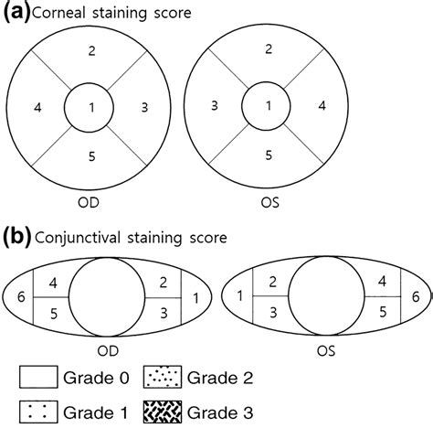 Grading scale of the corneal and conjunctiva. a Score each of 5 areas... | Download Scientific ...