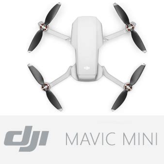 DJI Spark vs Mavic Mini: Compared in Detail (Winter 2023)