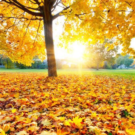 10 Things To Be Grateful For This Fall