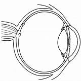 16 Drawing Eyes Worksheet  Free PDF At Worksheetocom sketch template