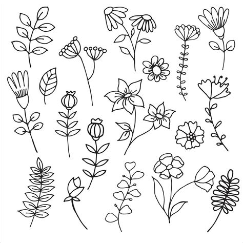 vector drawing in doodle style, cute flowers and plants, hand drawn ...