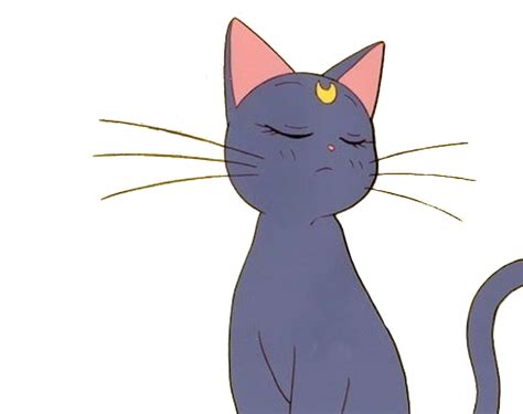 #Sailormooncat #Sticker | Sailor moon cat, Anime cat, Sailor moon ...