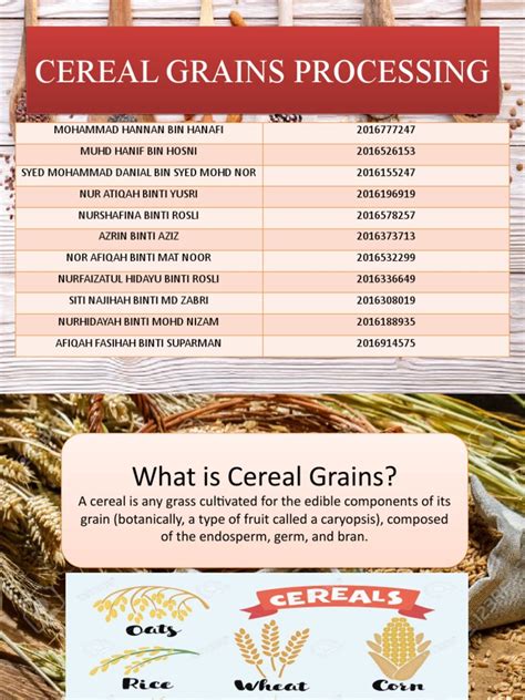 Cereal Grains Processing | PDF