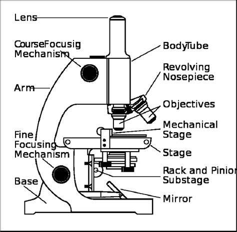 Science Microscopes | Science tools, Microscope parts, Scientific method