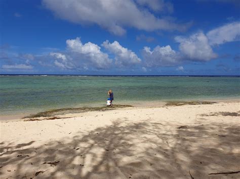 Where to Find the World's Only Green Sand Beaches