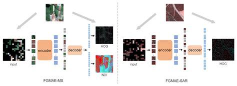 Feature Guided Masked Autoencoder for Self-supervised Learning in Remote Sensing | Papers With Code