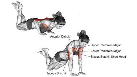 Close Grip Push Up: How To Do, Muscle Worked, Benefits