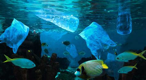 Reduce marine plastic litter now to turn challenges into opportunities | TERI