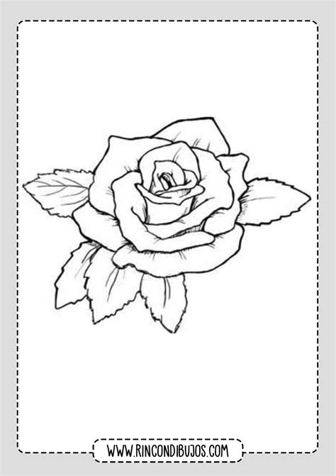 Dibujos De Rosas Para Pintar Y Colorear Rincon Dibujos Dibujos De ...