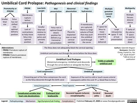 Umbilical Cord Prolapse | Calgary Guide