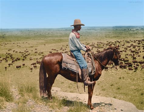 (Colorized) A Texas cowboy watches over the grazing herd, LS Ranch, Texas, 1907. [1600x1252] : r ...