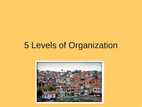 (PPT) 5 Levels of Organization. Cells Tissues Organs Organ Systems Organism - DOKUMEN.TIPS