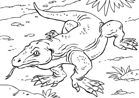 Coloring Page komodo dragon - free printable coloring pages - Img 27857