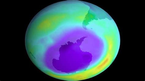 Daily exposure to ozone pollution ups mortality risk