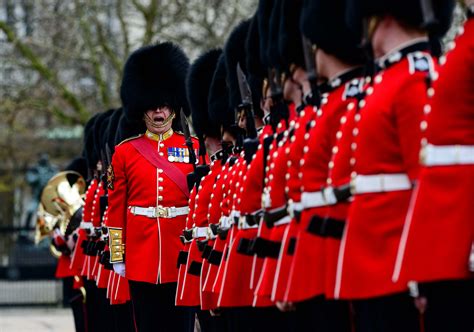 Grenadier Guards inspected for duty | The British Army