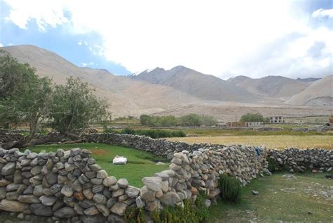 Camps at Pangong Lake - One of the things to do in Ladakh