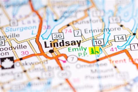 Lindsay map Stock Photos, Royalty Free Lindsay map Images | Depositphotos