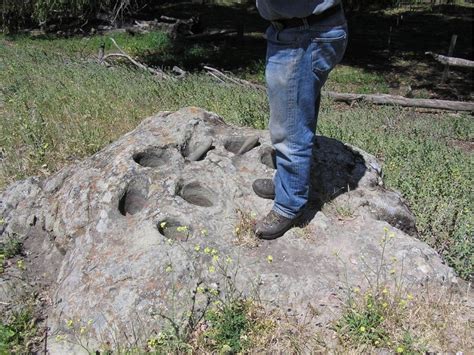 Native American Artifacts At Ranch: Photos Of The Day | Fremont, CA Patch