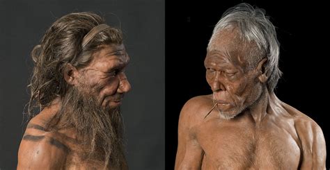 Neanderthal Vs Homosapien Fight