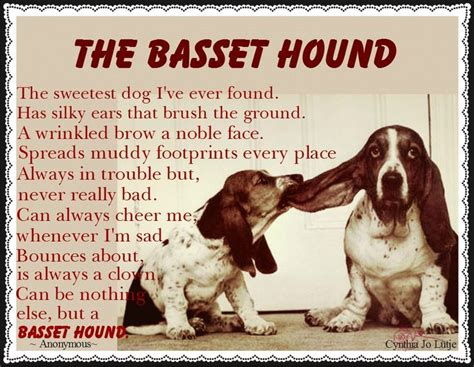 basset hound quotes | Basset hound puppy, Basset hound dog, Basset hound