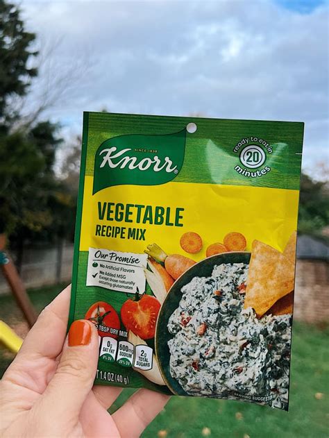 Knorr Vegetable Recipe Mix Review | The Kitchn