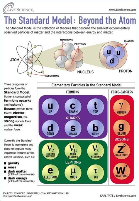 What Are Quarks Leptons And Bosons - Vanessa Fernandez Hochzeitstorte