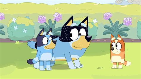 Bluey 3x12 - Cuevana 3