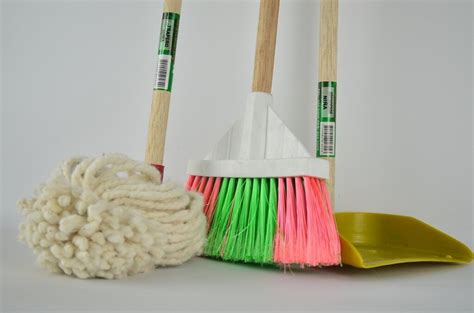 How to Clean Up After Mice in Kitchen – Step-by-Step Guide