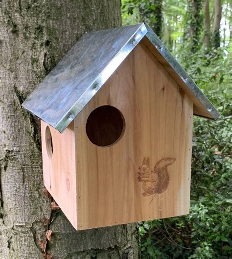 Squirrel Nest Box With Metal Roof By Garden Selections ...