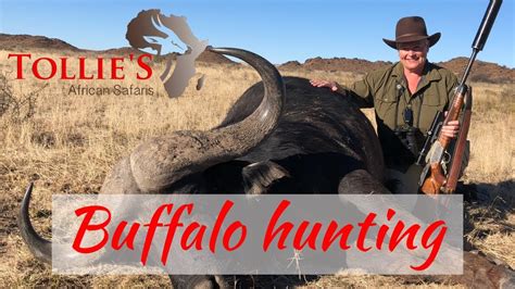 Cape Buffalo Hunting in Africa | Buffalo Hunt at Tollies African ...