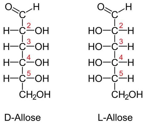 Free Images - dl allose num svg